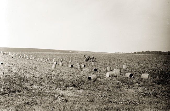 Field with barrels